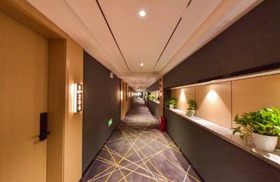 本土酒店强势崛起，国际酒店如何破局求变？