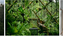 悦榕集团持续深耕可持续发展和谐之旅