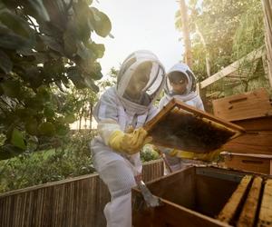 卓美亚于迪拜卓美亚古堡酒店揭幕全新生态村 打造沉浸式可持续发展体验目的地