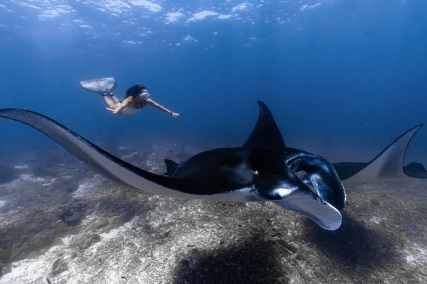 Manta Point_副本.jpg