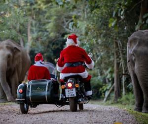 岁末邀约，焕新启程 美诺酒店呈献亚洲与马尔代夫奇幻庆典之旅