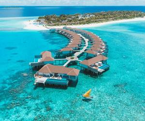 马尔代夫菲尔斯岛安凡尼臻选度假酒店带来创意绘画传扬海岛精神