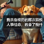 我亲身经历的那次凯悦人事任命，教会了我什么