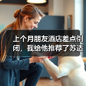 上个月朋友酒店差点倒闭，我给他推荐了苏适智旅AI酒店（图3）
