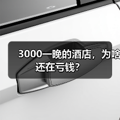3000一晚的酒店,为啥还在亏钱?(图4) 3000一晚的酒店,为啥还在亏钱?(图4)