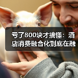 亏了800块才搞懂:酒店消费融合化到底在融什么?(图2) 亏了800块才搞懂:酒店消费融合化到底在融什么?(图2)
