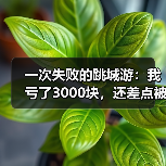 一次失败的跳城游:我亏了3000块,还差点被拉黑(图2) 一次失败的跳城游:我亏了3000块,还差点被拉黑(图2)
