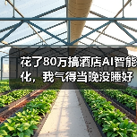 花了80万搞酒店AI智能化，我气得当晚没睡好（图3）