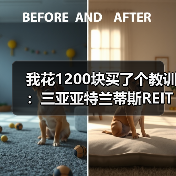 我花1200块买了个教训:三亚亚特兰蒂斯REITs到底能不能碰?(图1) 我花1200块买了个教训:三亚亚特兰蒂斯REITs到底能不能碰?(图1)