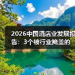 2026中国酒店业发展报告：3个被行业掩盖的真实走向（图1）