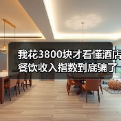 我花3800块才看懂酒店餐饮收入指数到底骗了多少人（图2）