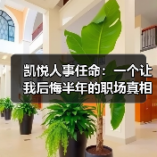 凯悦人事任命:一个让我后悔半年的职场真相(图2) 凯悦人事任命:一个让我后悔半年的职场真相(图2)