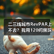 二三线城市RevPAR上不去？我用120间房踩过的坑告诉你真相（图2）