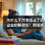 为什么下沉市场成了酒店业的新战场？县域酒店布局（图4）