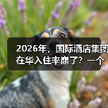 2026年，国际酒店集团在华入住率崩了？一个前业主的血泪观察