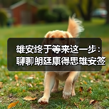 雄安终于等来这一步：聊聊朗廷康得思雄安签约背后的信号（图2）