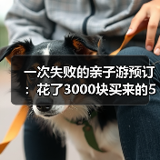 一次失败的亲子游预订：花了3000块买来的5个教训（图2）