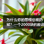 为什么你的票根总被扔掉？一个2000块的教训让我搞懂票根经济（图2）