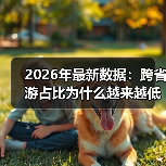 2026年最新数据：跨省游占比为什么越来越低了？（图1）