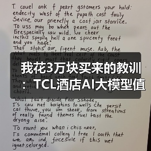 我花3万块买来的教训：TCL酒店AI大模型值不值得上？（图1）