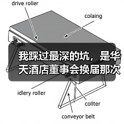 我踩过最深的坑，是华天酒店董事会换届那次（图1）