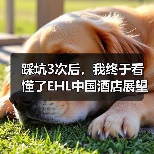 踩坑3次后,我终于看懂了EHL中国酒店展望(图2) 踩坑3次后,我终于看懂了EHL中国酒店展望(图2)