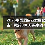 2026中国酒店业发展报告：我花300万买来的3个教训（图4）