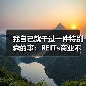我自己就干过一件特别蠢的事：REITs商业不动产（图1）