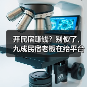 开民宿赚钱？别傻了，九成民宿老板在给平台打工（图4）