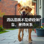 酒店品牌不是砸钱做广告,是搞关系(图1) 酒店品牌不是砸钱做广告,是搞关系(图1)