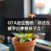 OTA运营真相:你还在被平台牵着鼻子走?(图2) OTA运营真相:你还在被平台牵着鼻子走?(图2)