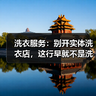 洗衣服务:别开实体洗衣店,这行早就不是洗衣服了(图4) 洗衣服务:别开实体洗衣店,这行早就不是洗衣服了(图4)