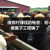 度假村赚钱的秘密：别被面子工程骗了（图4）