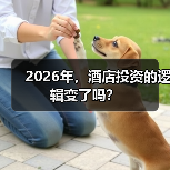 2026年,酒店投资的逻辑变了吗?(图4) 2026年,酒店投资的逻辑变了吗?(图4)